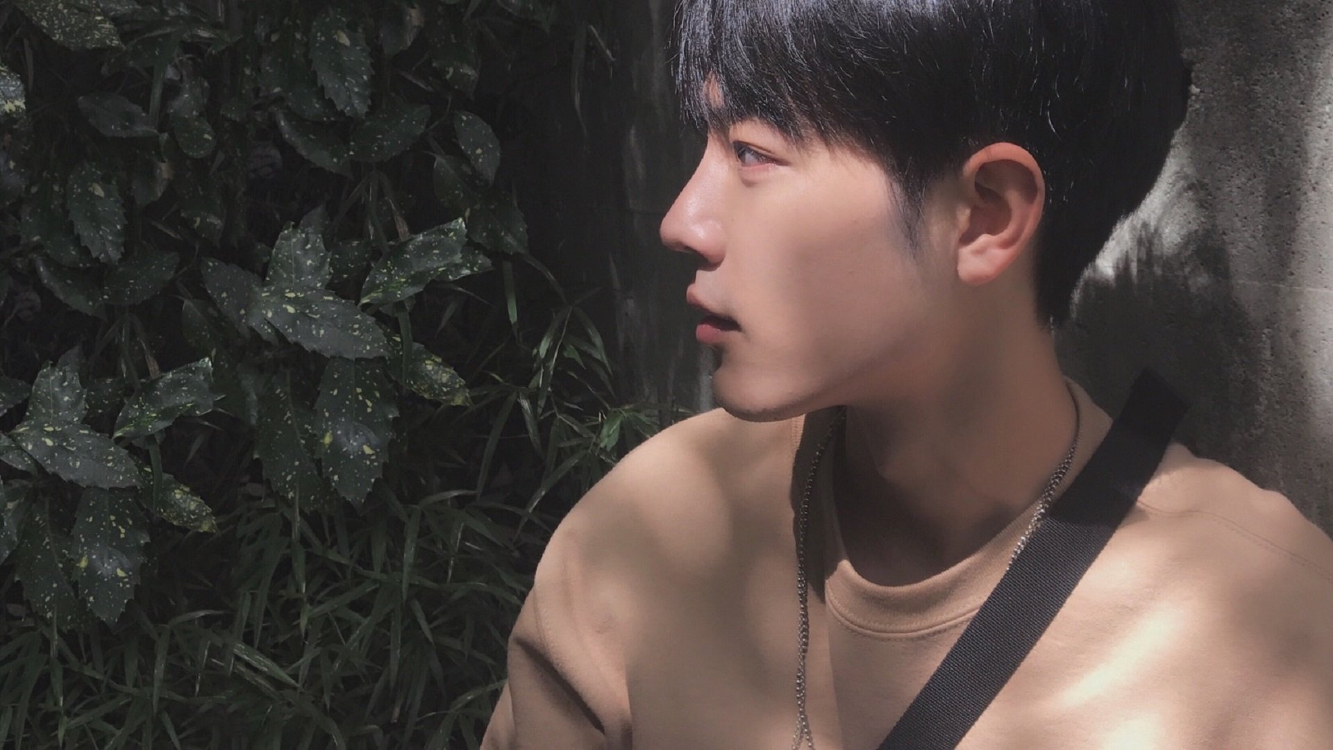 天降神兵！范弗利特末节19分+决胜封盖，鹈鹕黑马狂奔力克太阳