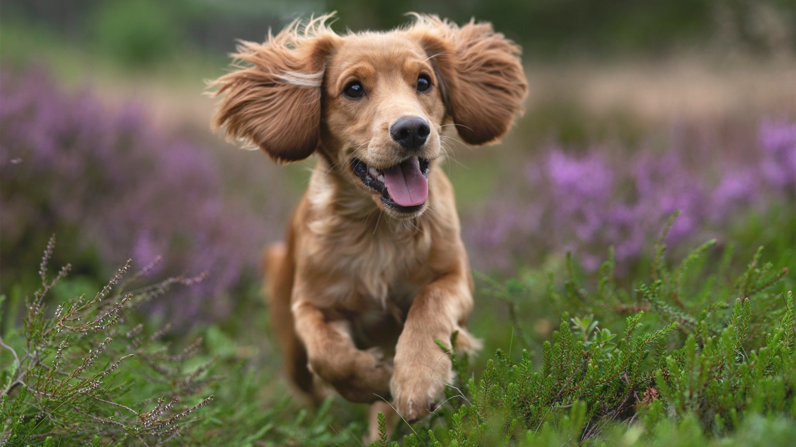 今夜,两个世界的战争