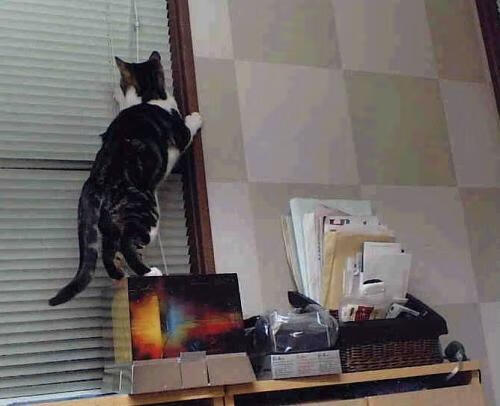 雷火电竞app-法比尼奥爆发！毕尔巴鄂竞技赢得波斯铁骑生死战