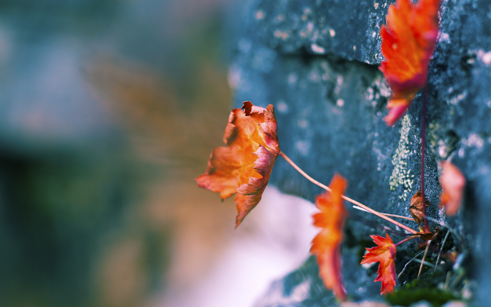 跨界谜题，欧冠决赛夜，新疆队打穿雄鹿？