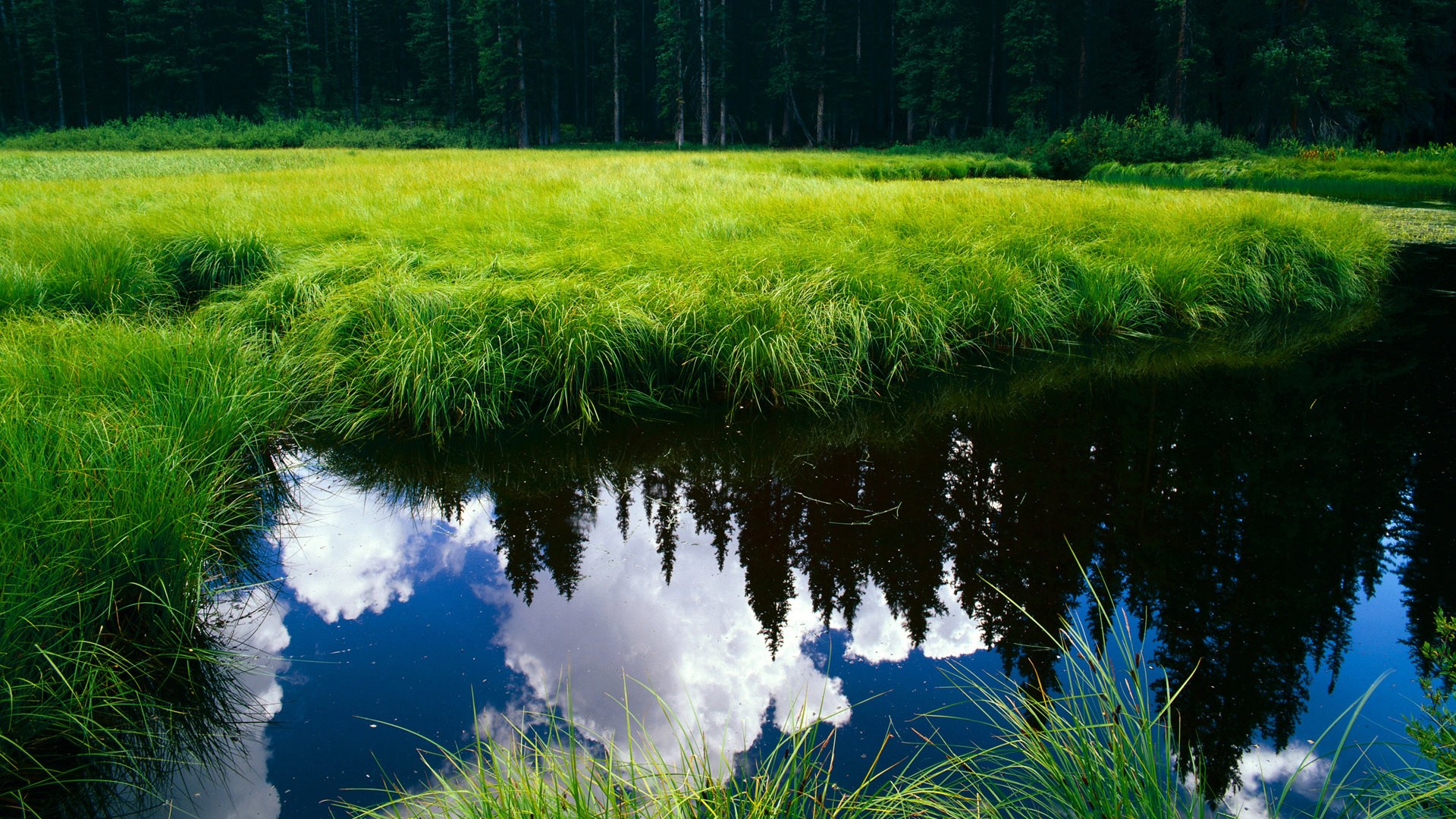 法比尼奥的十字路口，巴黎之战中的身份回响