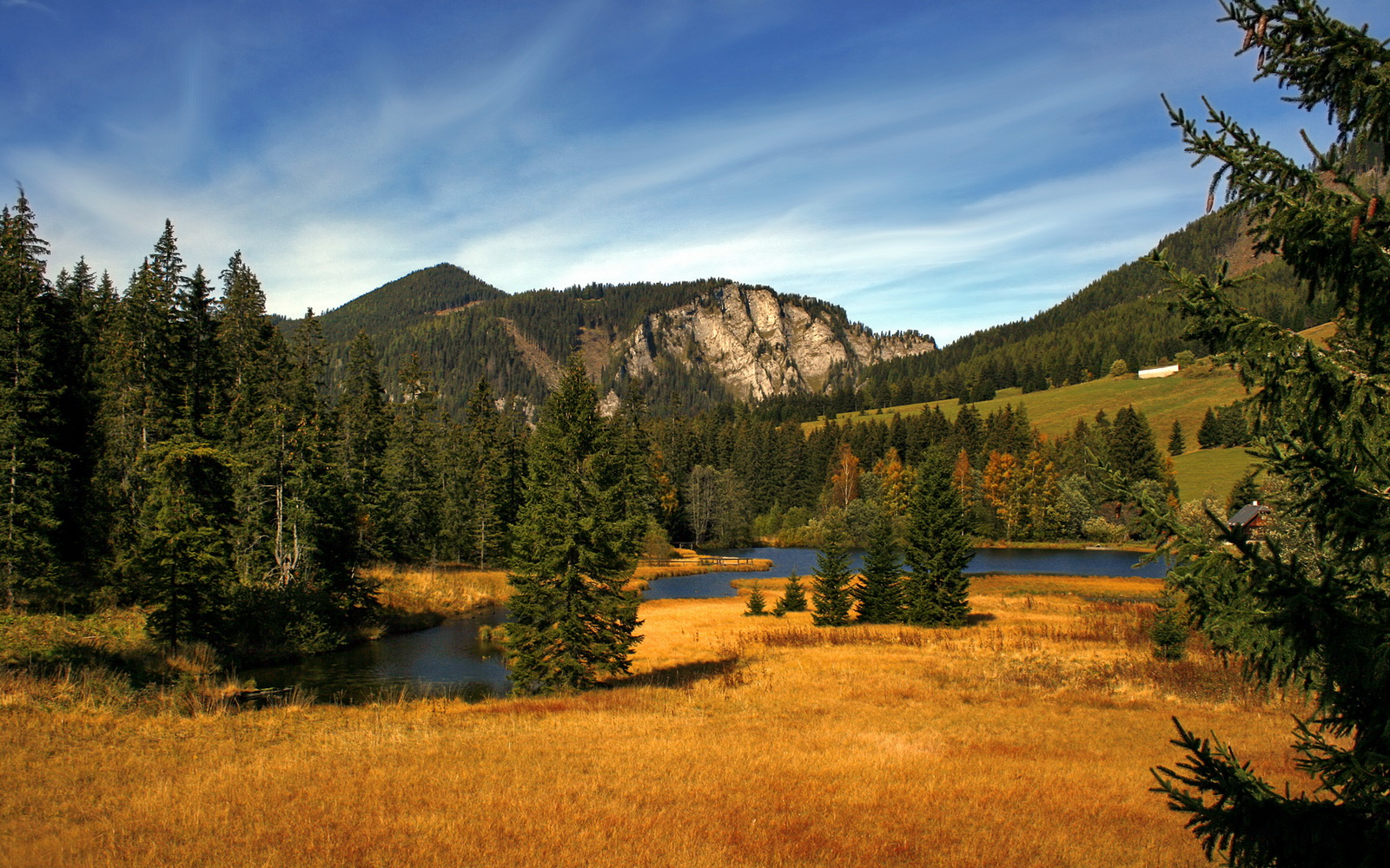 世界排名争夺战之夜，帕尔默在绝境中的自我救赎