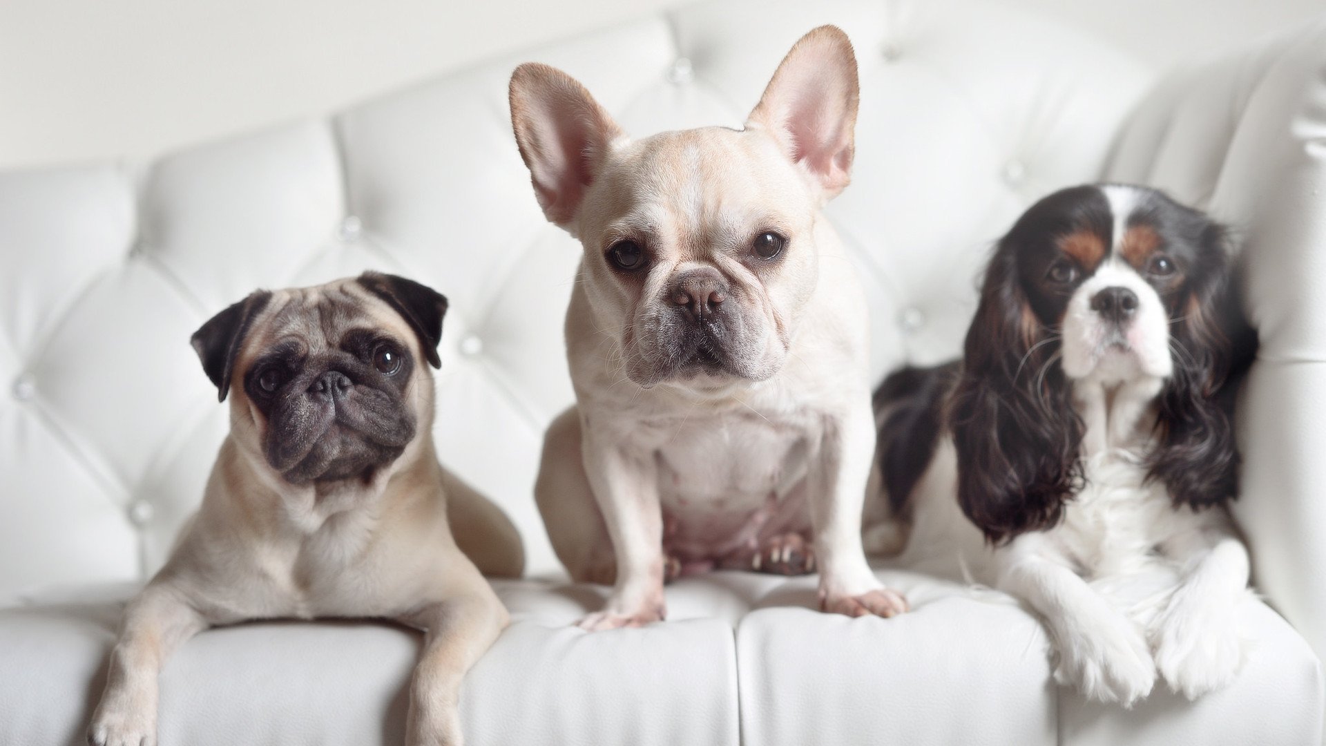 浓眉擎天镇内线，湖人骤雨锁胜局