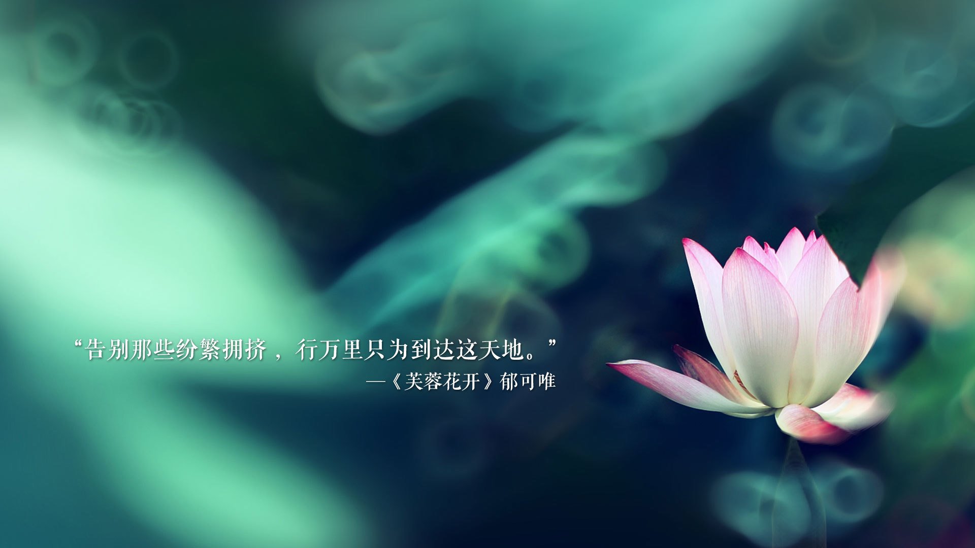 逆转之夜,2026世界杯四分之一决赛,法国绝地反击,C罗领衔演绎默契传奇